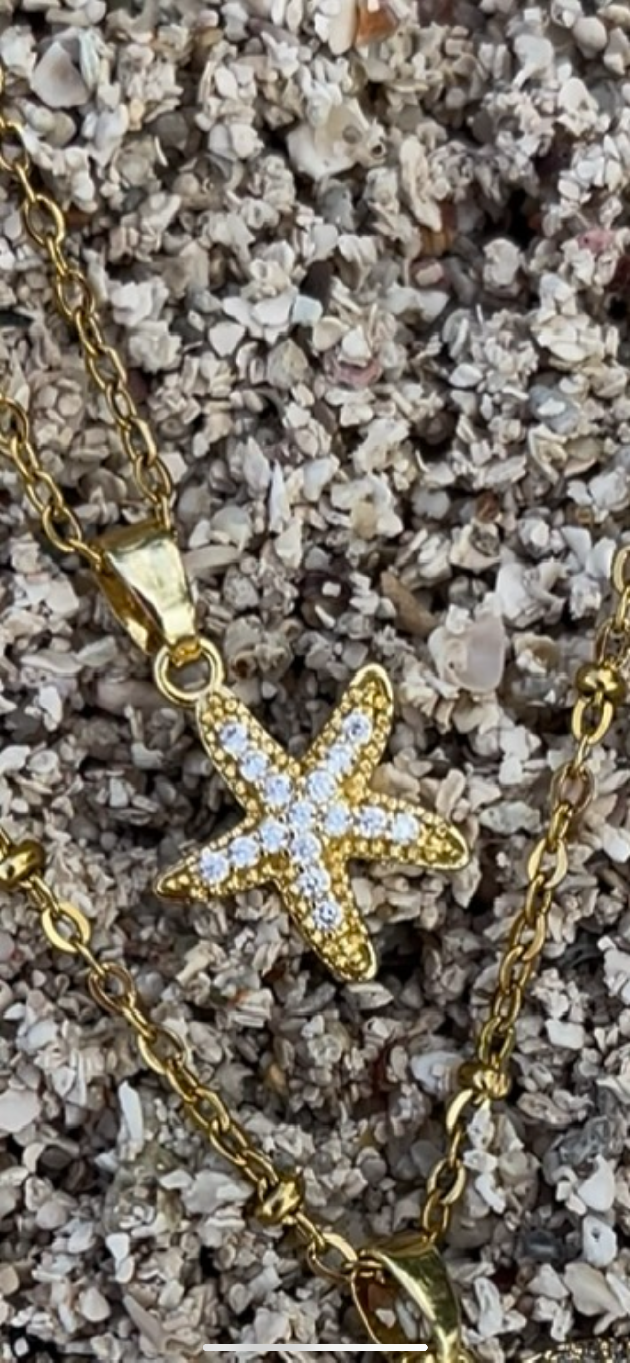 Collares de conchas y estrellas de mar